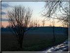 foto Colline Marosticane in Autunno